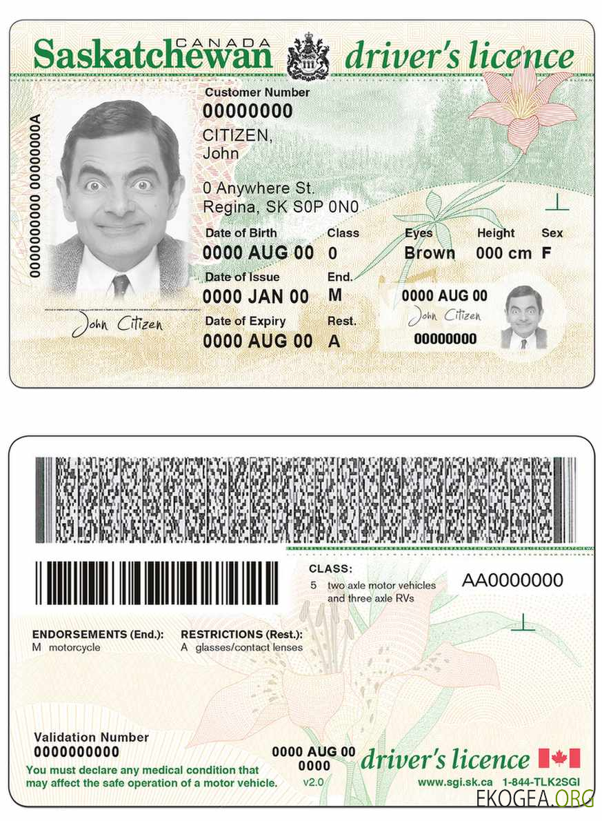 Canada province Saskatchewan driving license